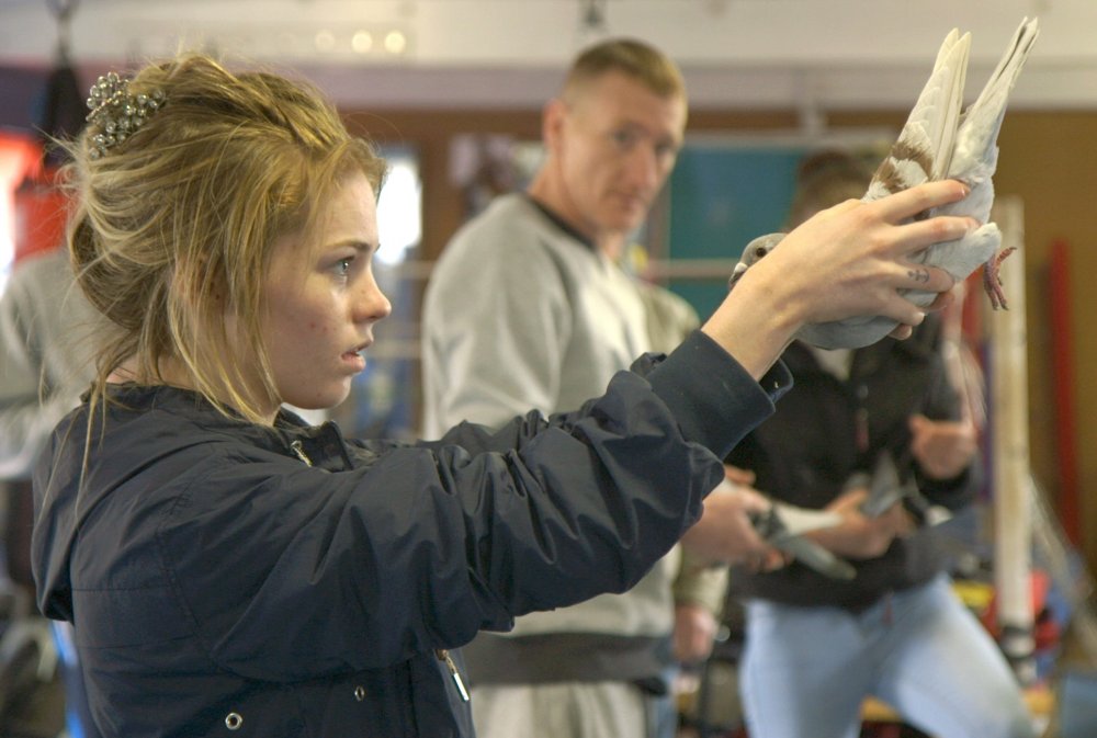 Bild från Scheme Birds. Foto: Ellinor Hallin.