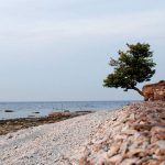 Bild på stenstrand på Fårö. Foto: Film på Gotland.