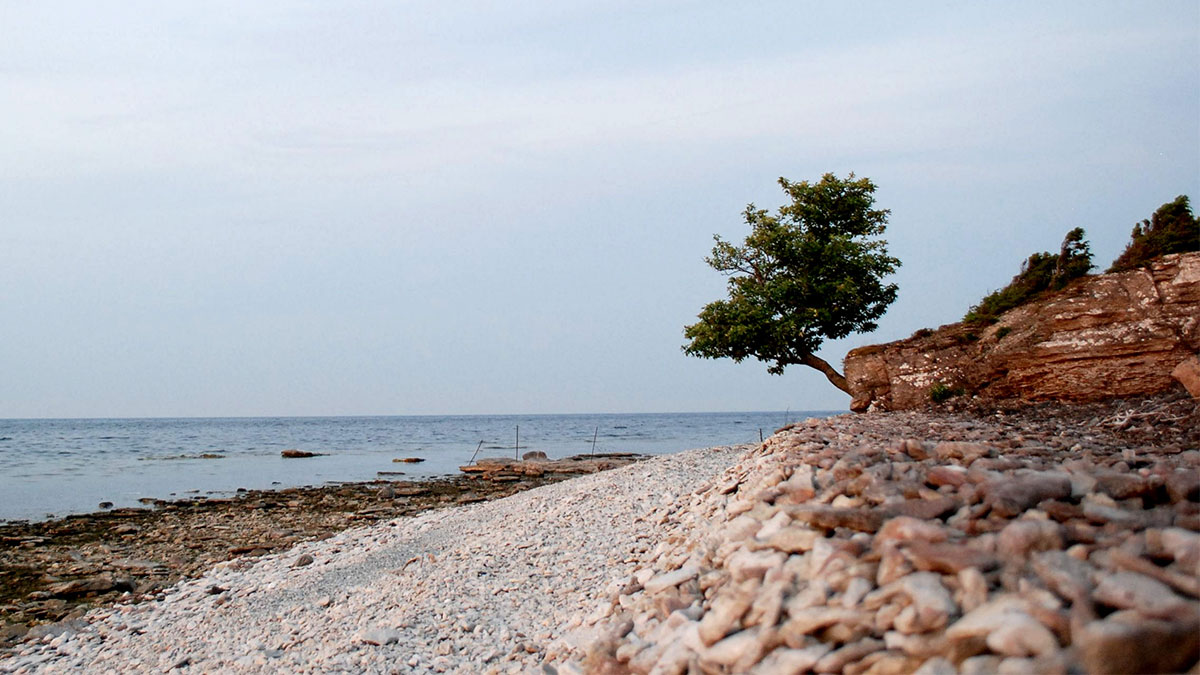 Bild på stenstrand på Fårö. Foto: Film på Gotland.